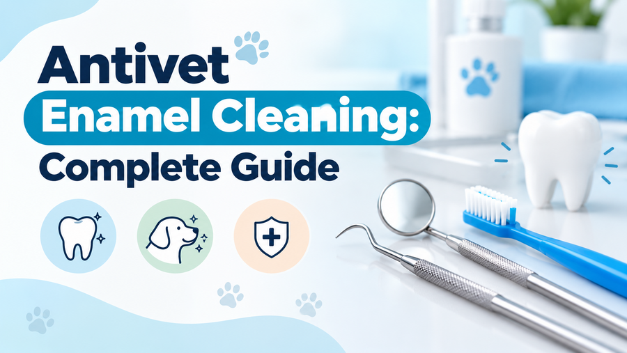Antivet enamel cleaning: complete guide