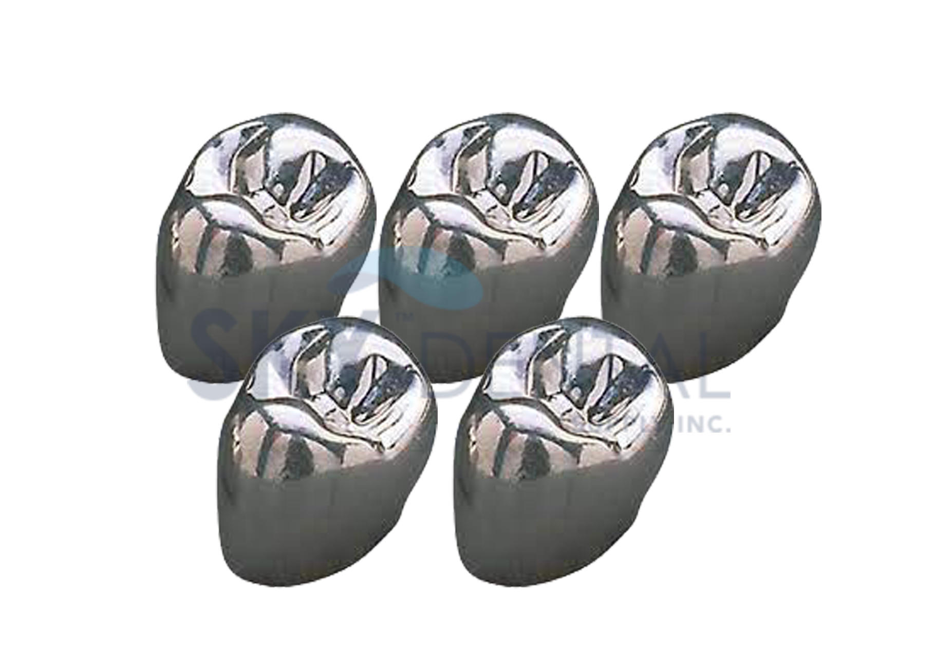 bicuspid_iso_.webp