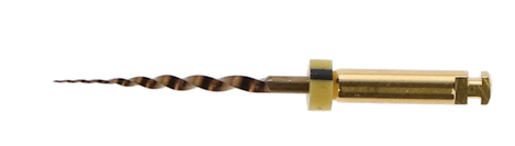 Gold Taper + Nickel Titanium Rotary Files (SX) 19mm 6/pk (Sky Choice)