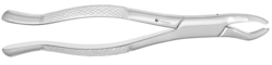 Forceps Upper Molars (J&J Instruments)