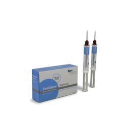 SEALAPEX XPRESS Syringe Root Canal Sealer (SybronEndo)