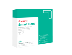 Smart Dam Latex, Medium 6 x 6, Green, Spearmint (Cranberry)