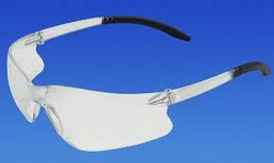 Eyewear Bad Dogs Clear/Clear Ea