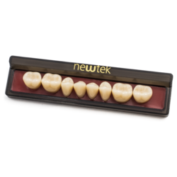 MDC New Tek Teeth Lower Posteriors Size 30M (Specify Shade) 16/Pk