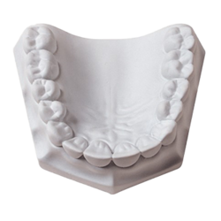 Orthodontic Plaster 33Lbs (Whipmix)