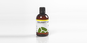 Calasept CHX 100ml Bottle (Directa)