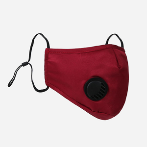 Mask With 2-Carbon Filter (Reusable And Washable) EACH