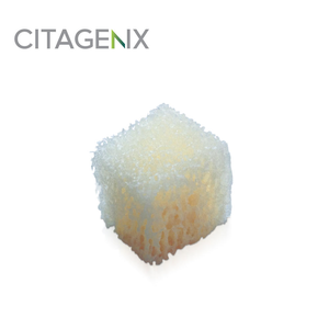 PentOs OI Sponge (Citagenix)