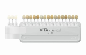 Vita Classical Shade Guide W/bleach Shade Clip