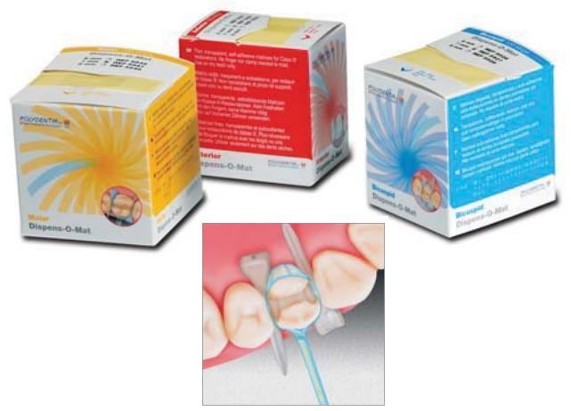 Dispens-O-Mat bicuspid (Polydentia)