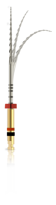 RootFlex Glidepath 6/Pkg (JMorita)