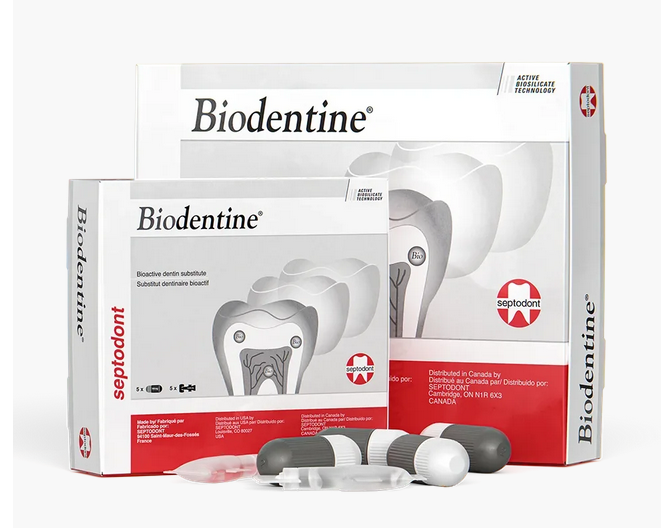 Biodentine Bioactive Dentin Replacement 